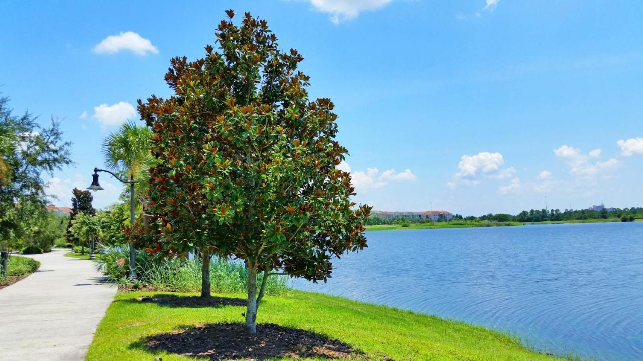 Newly Updated Condo W Scenic Resort View Orlando Eksteriør billede